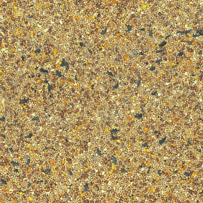 Ace Premium Assorted Species Milo and Corn Wild Bird Food 20 lb
