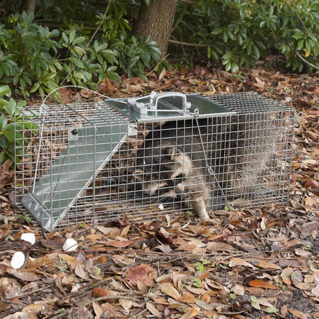 Havahart Large Live Catch Cage Trap For Cats and Raccoons 1 pk