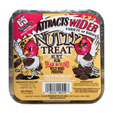 C&S Products Nutty Treat Assorted Species Beef Suet Wild Bird Food 11.75 oz, Pack of 12