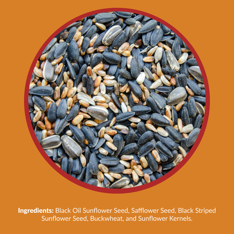 Lyric Wild Bird Food 3.75 lb