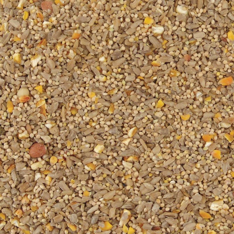 Kaytee No Mess Songbird Hulled Sunflower Seed Wild Bird Food 10 lb, Pack of 4