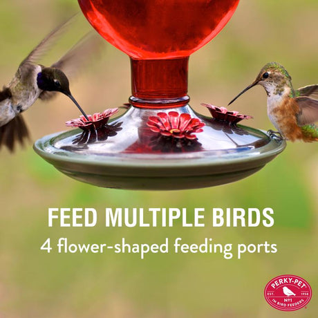 Perky-Pet Hummingbird 16 oz Glass/Metal/Plastic Antique Bottle Nectar Bird Feeder 4 ports, Pack of 2