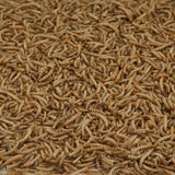 Kaytee Bluebird Dried Mealworm Mealworms 7 oz, Pack of 6