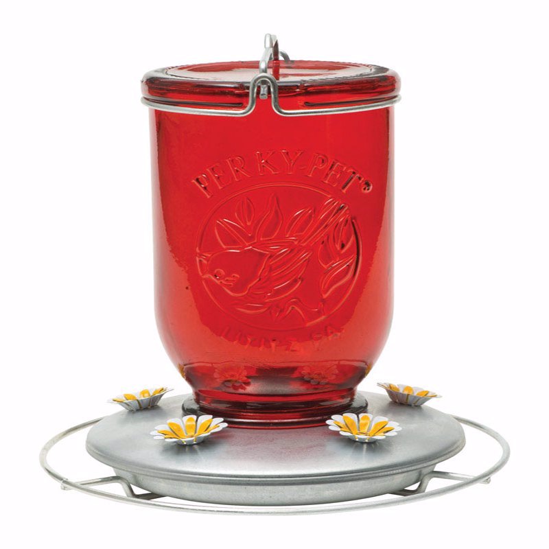 Perky-Pet Hummingbird 32 oz Glass/Metal Mason Jar Nectar Feeder 5 ports, Pack of 2