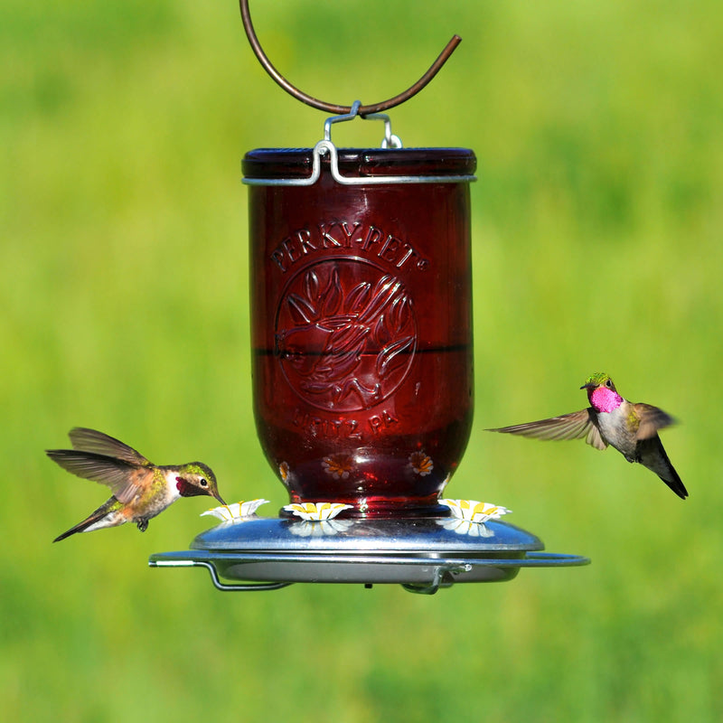 Perky-Pet Hummingbird 32 oz Glass/Metal Mason Jar Nectar Feeder 5 ports, Pack of 2