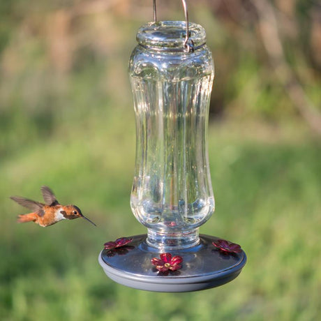 Perky-Pet Hummingbird 16 oz Glass/Metal Nectar Bird Feeder 4 ports, Pack of 2