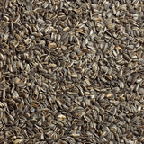 Ace Songbird Striped Sunflower Seed Wild Bird Food 5 lb, Pack of 4