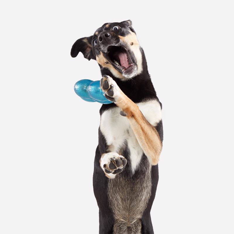Bark Blue Plush Treat Giver River Dog Toy 1 pk, Pack of 3
