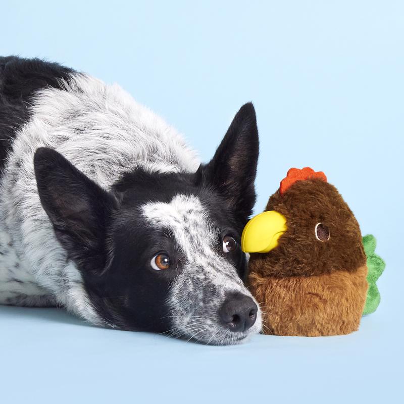 Bark Rubber Hen Dog Toy 1 pk, Pack of 3