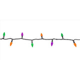 Celebrations Multicolored 100 ct LED String Lights