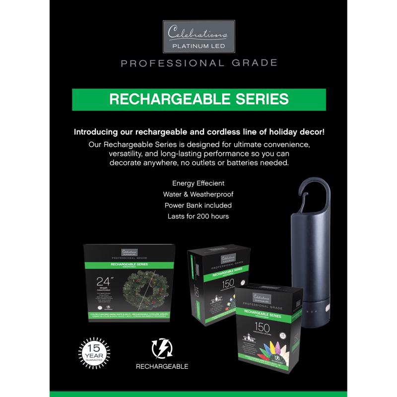 Celebrations Platinum LED T5 Multicolored/Warm White 50 ct String w/ Powerbank Christmas Lights