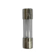 Celebrations Clear 2 ct Replacement 5Amp Fuse, Pack of 25