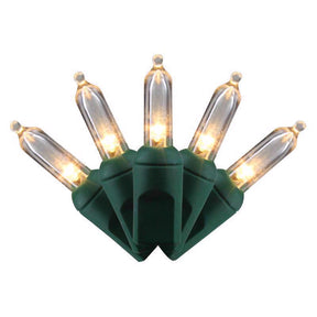 Celebrations LED T5 Warm White 50 ct String Christmas Lights, Pack of 12