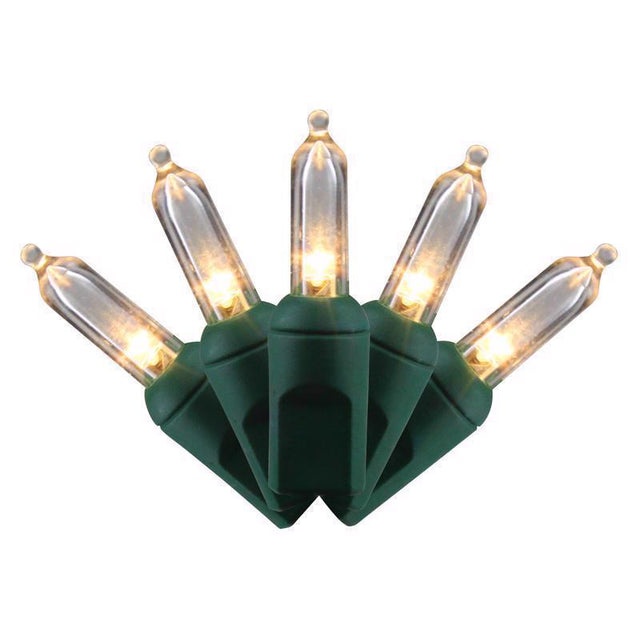 Celebrations LED T5 Warm White 50 ct String Christmas Lights, Pack of 12