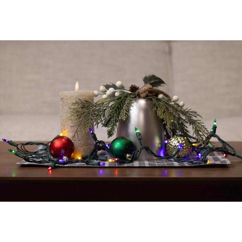 Celebrations LED T5 Multicolored 50 ct String Christmas Lights, Pack of 12