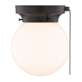 Boston Harbor OG24006 Ceiling Light, 1-Lamp, CFL, Incandescent, LED Lamp, Matte Black Fixture