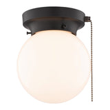 Boston Harbor OG24006 Ceiling Light, 1-Lamp, CFL, Incandescent, LED Lamp, Matte Black Fixture