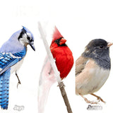 Approved Vendor (GLOBAL HARVEST FOODS) 10179 Sunflower Seed Wild Bird Food, 40 lb, Blended, Bag