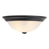 Boston Harbor OG24001 Ceiling Light, 120 V, 2-Lamp, Fluorescent, Incandescent Lamp, Black Fixture