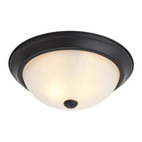 Boston Harbor OG24001 Ceiling Light, 120 V, 2-Lamp, Fluorescent, Incandescent Lamp, Black Fixture
