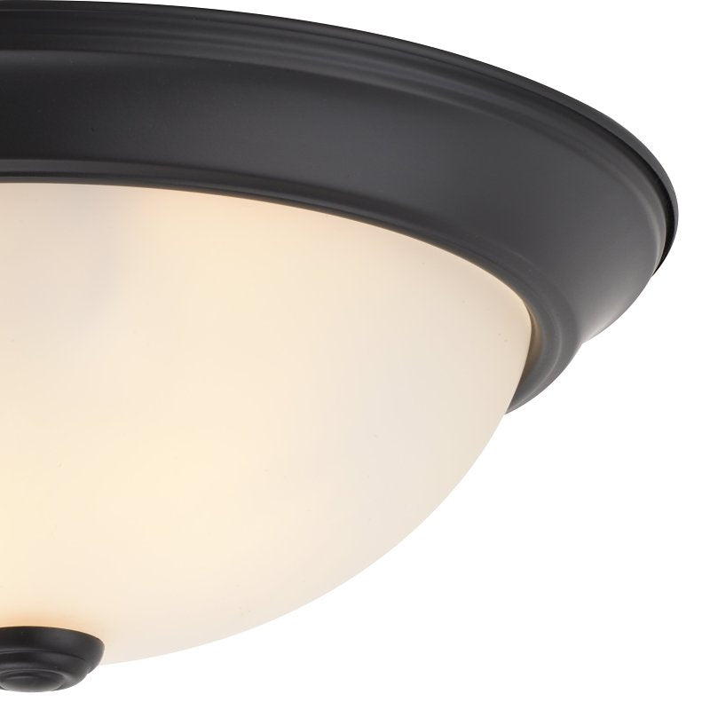Boston Harbor OG24001 Ceiling Light, 120 V, 2-Lamp, Fluorescent, Incandescent Lamp, Black Fixture
