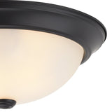 Boston Harbor OG24001 Ceiling Light, 120 V, 2-Lamp, Fluorescent, Incandescent Lamp, Black Fixture