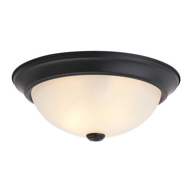 Boston Harbor OG24001 Ceiling Light, 120 V, 2-Lamp, Fluorescent, Incandescent Lamp, Black Fixture