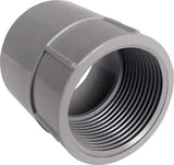Cantex 2 in. D PVC Female Adapter For PVC 1 pk