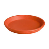 Deroma 1.2 in. H X 8.3 in. D Clay Traditional Plant Saucer Terracotta, Pack of 12
