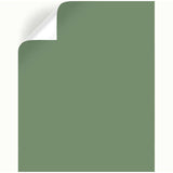 Magnolia Home by Joanna Gaines Magnolia Green Peel & Stick Color Sample, Pack of 25
