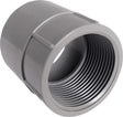 Cantex 1-1/4 in. D PVC Female Adapter For PVC 1 pk